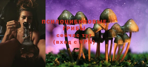 mdpv Балахна