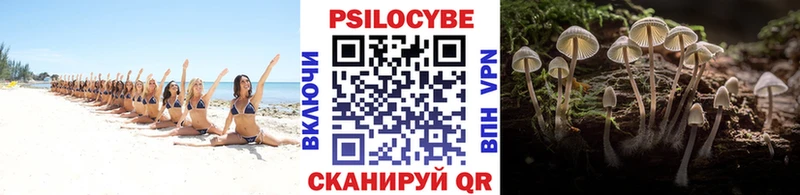 Купить закладки  Сатка  Галлюциногенные грибы прущие грибы 